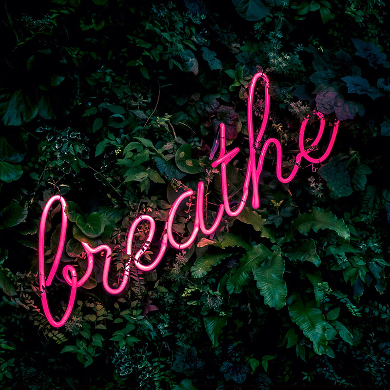 fabian-moller-401625-unsplash